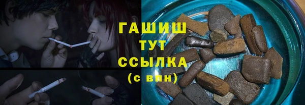 хмурый Аркадак