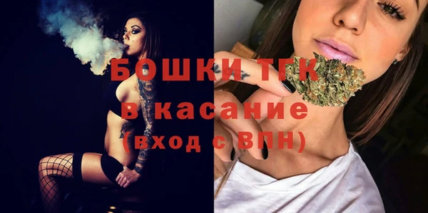 тгк Арсеньев