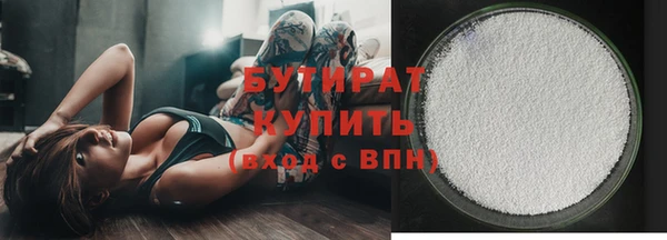хмурый Аркадак