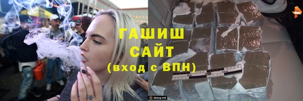 хмурый Аркадак