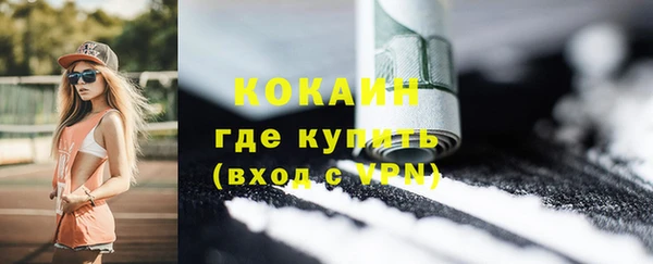 хмурый Аркадак
