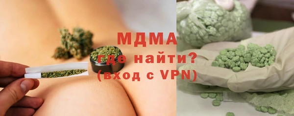 хмурый Аркадак