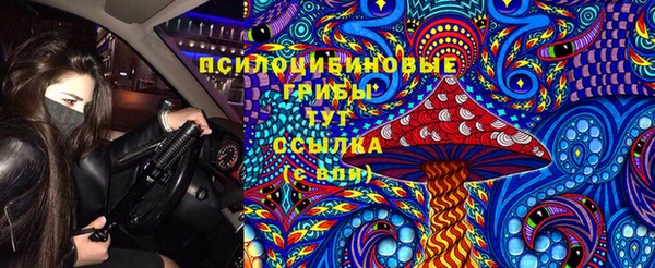 тгк Арсеньев