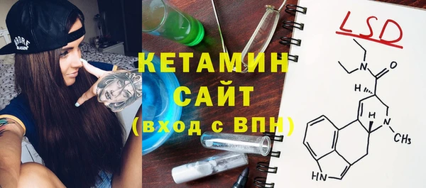 хмурый Аркадак