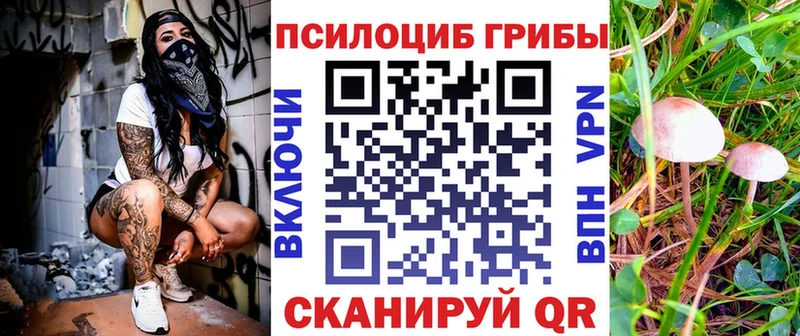 Галлюциногенные грибы Magic Shrooms  OMG сайт  Сорочинск 